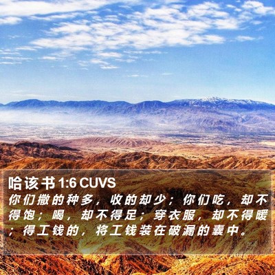 哈 该 书 1:6 CUVS Bible Verse Image