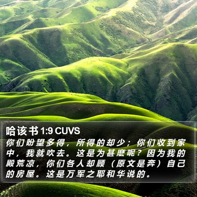 哈 该 书 1:9 CUVS Bible Verse Image