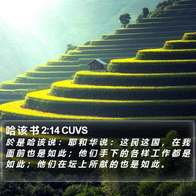 哈 该 书 2:14 CUVS Bible Verse Image