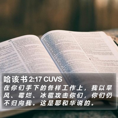 哈 该 书 2:17 CUVS Bible Verse Image