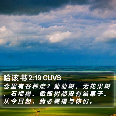 哈 该 书 2:19 CUVS Bible Verse Image