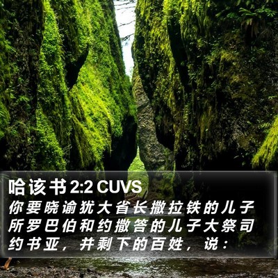 哈 该 书 2:2 CUVS Bible Verse Image