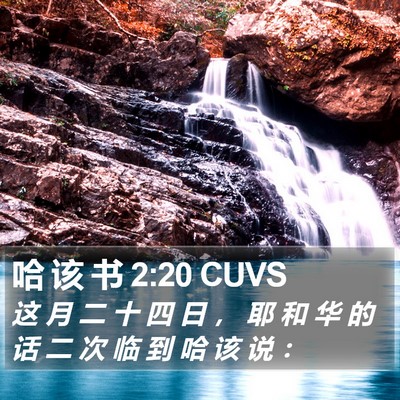 哈 该 书 2:20 CUVS Bible Verse Image