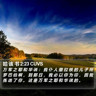 哈 该 书 2:23 CUVS Bible Verse Image