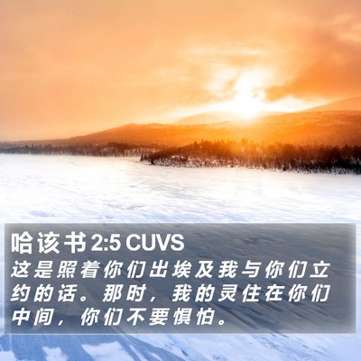 哈 该 书 2:5 CUVS Bible Verse Image
