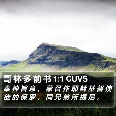 哥 林 多 前 书 1:1 CUVS Bible Verse Image