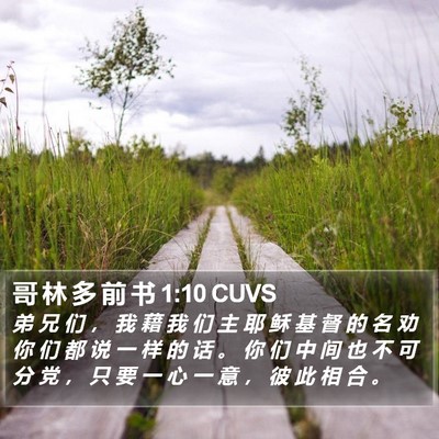 哥 林 多 前 书 1:10 CUVS Bible Verse Image