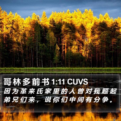 哥 林 多 前 书 1:11 CUVS Bible Verse Image