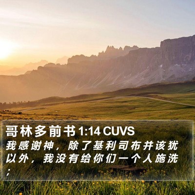 哥 林 多 前 书 1:14 CUVS Bible Verse Image