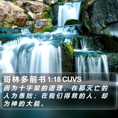 哥 林 多 前 书 1:18 CUVS Bible Verse Image