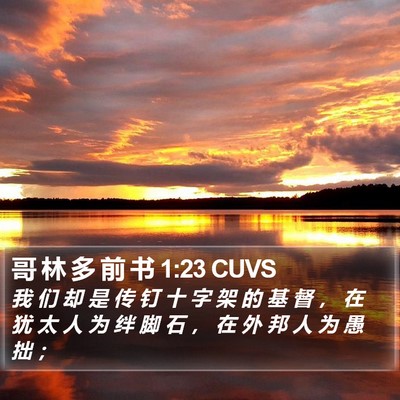 哥 林 多 前 书 1:23 CUVS Bible Verse Image