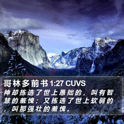哥 林 多 前 书 1:27 CUVS Bible Verse Image
