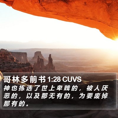 哥 林 多 前 书 1:28 CUVS Bible Verse Image