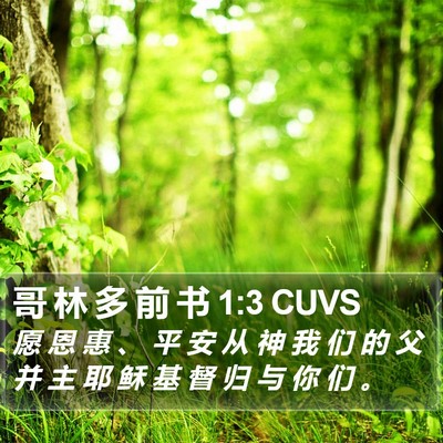 哥 林 多 前 书 1:3 CUVS Bible Verse Image