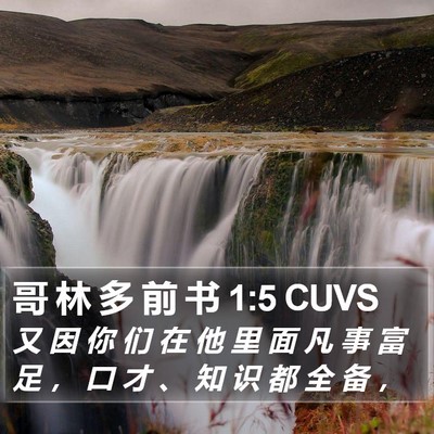 哥 林 多 前 书 1:5 CUVS Bible Verse Image