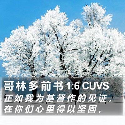 哥 林 多 前 书 1:6 CUVS Bible Verse Image
