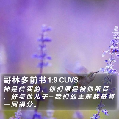 哥 林 多 前 书 1:9 CUVS Bible Verse Image