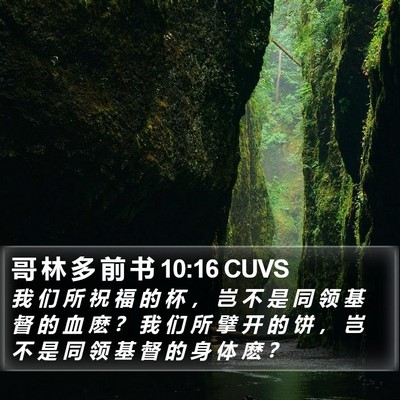 哥 林 多 前 书 10:16 CUVS Bible Verse Image