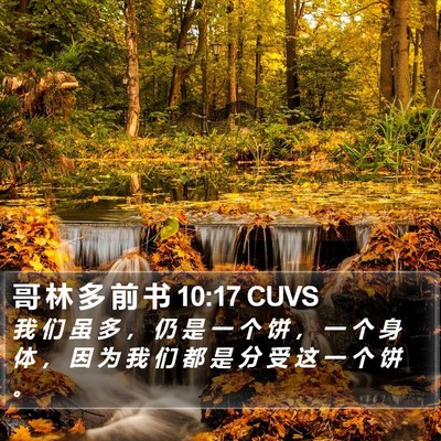 哥 林 多 前 书 10:17 CUVS Bible Verse Image