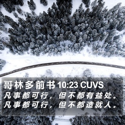 哥 林 多 前 书 10:23 CUVS Bible Verse Image