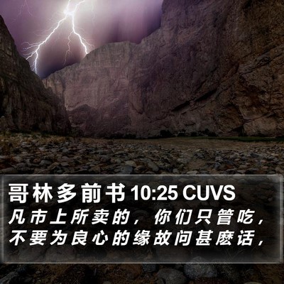 哥 林 多 前 书 10:25 CUVS Bible Verse Image