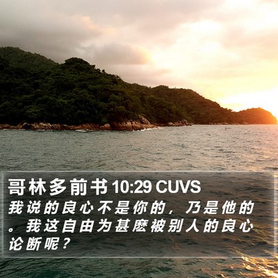 哥 林 多 前 书 10:29 CUVS Bible Verse Image