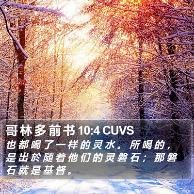 哥 林 多 前 书 10:4 CUVS Bible Verse Image