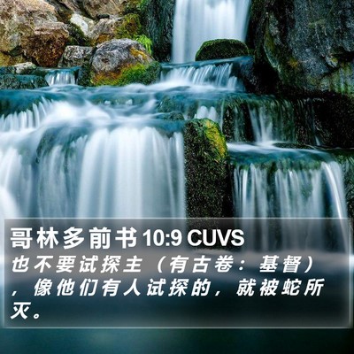 哥 林 多 前 书 10:9 CUVS Bible Verse Image
