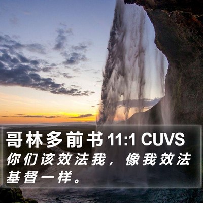 哥 林 多 前 书 11:1 CUVS Bible Verse Image