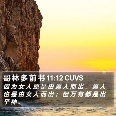 哥 林 多 前 书 11:12 CUVS Bible Verse Image