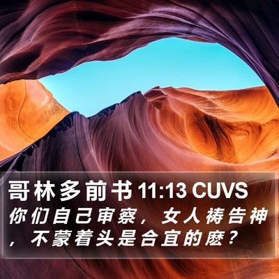 哥 林 多 前 书 11:13 CUVS Bible Verse Image
