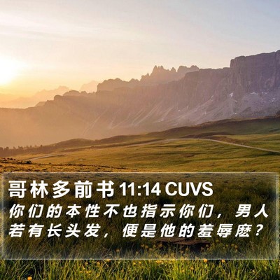 哥 林 多 前 书 11:14 CUVS Bible Verse Image