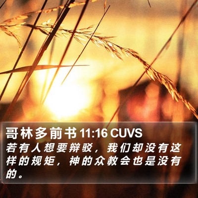 哥 林 多 前 书 11:16 CUVS Bible Verse Image