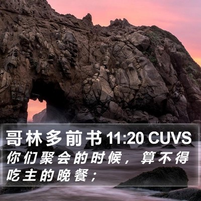 哥 林 多 前 书 11:20 CUVS Bible Verse Image
