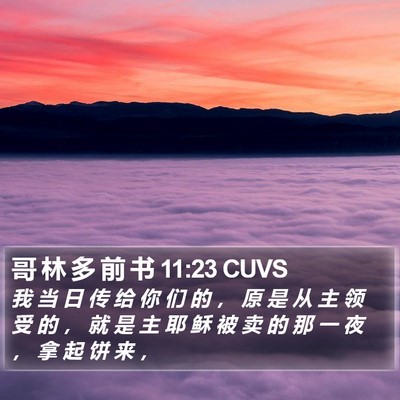 哥 林 多 前 书 11:23 CUVS Bible Verse Image