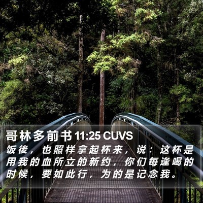 哥 林 多 前 书 11:25 CUVS Bible Verse Image