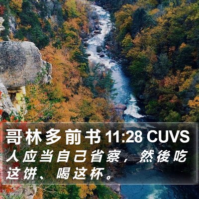 哥 林 多 前 书 11:28 CUVS Bible Verse Image