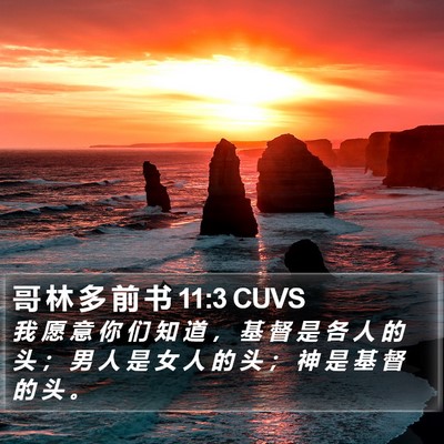 哥 林 多 前 书 11:3 CUVS Bible Verse Image