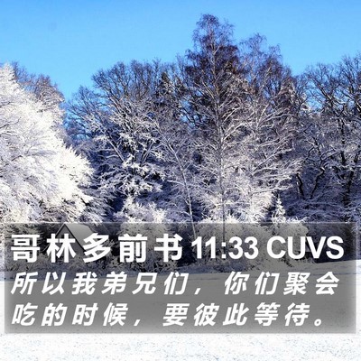 哥 林 多 前 书 11:33 CUVS Bible Verse Image