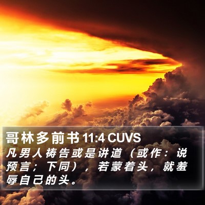 哥 林 多 前 书 11:4 CUVS Bible Verse Image