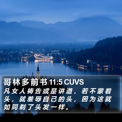哥 林 多 前 书 11:5 CUVS Bible Verse Image