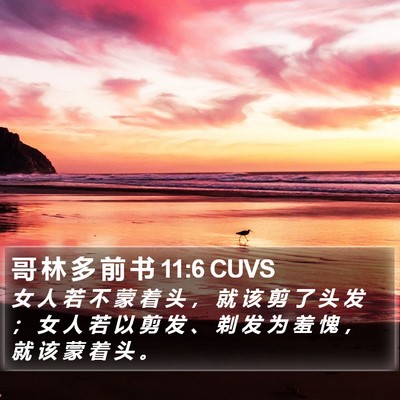 哥 林 多 前 书 11:6 CUVS Bible Verse Image