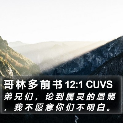 哥 林 多 前 书 12:1 CUVS Bible Verse Image