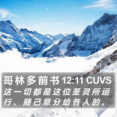 哥 林 多 前 书 12:11 CUVS Bible Verse Image