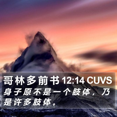 哥 林 多 前 书 12:14 CUVS Bible Verse Image