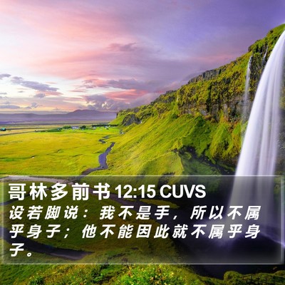哥 林 多 前 书 12:15 CUVS Bible Verse Image