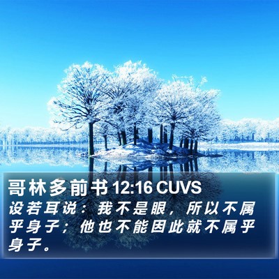 哥 林 多 前 书 12:16 CUVS Bible Verse Image