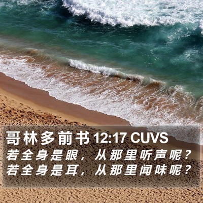 哥 林 多 前 书 12:17 CUVS Bible Verse Image