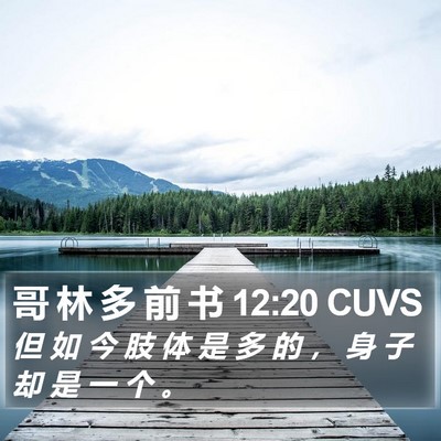 哥 林 多 前 书 12:20 CUVS Bible Verse Image