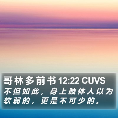 哥 林 多 前 书 12:22 CUVS Bible Verse Image